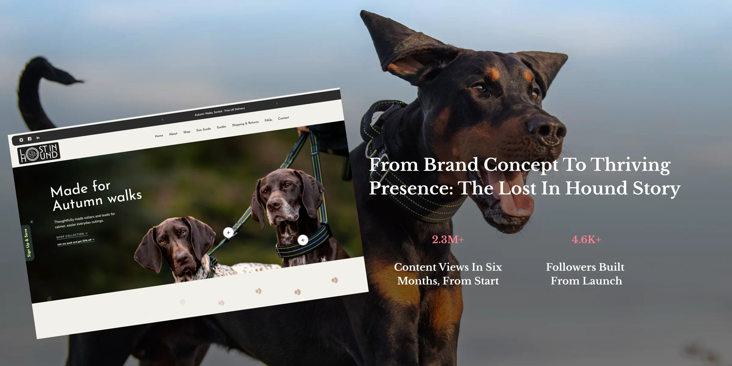 From brand concept to thriving presence: the Lost In Hound story