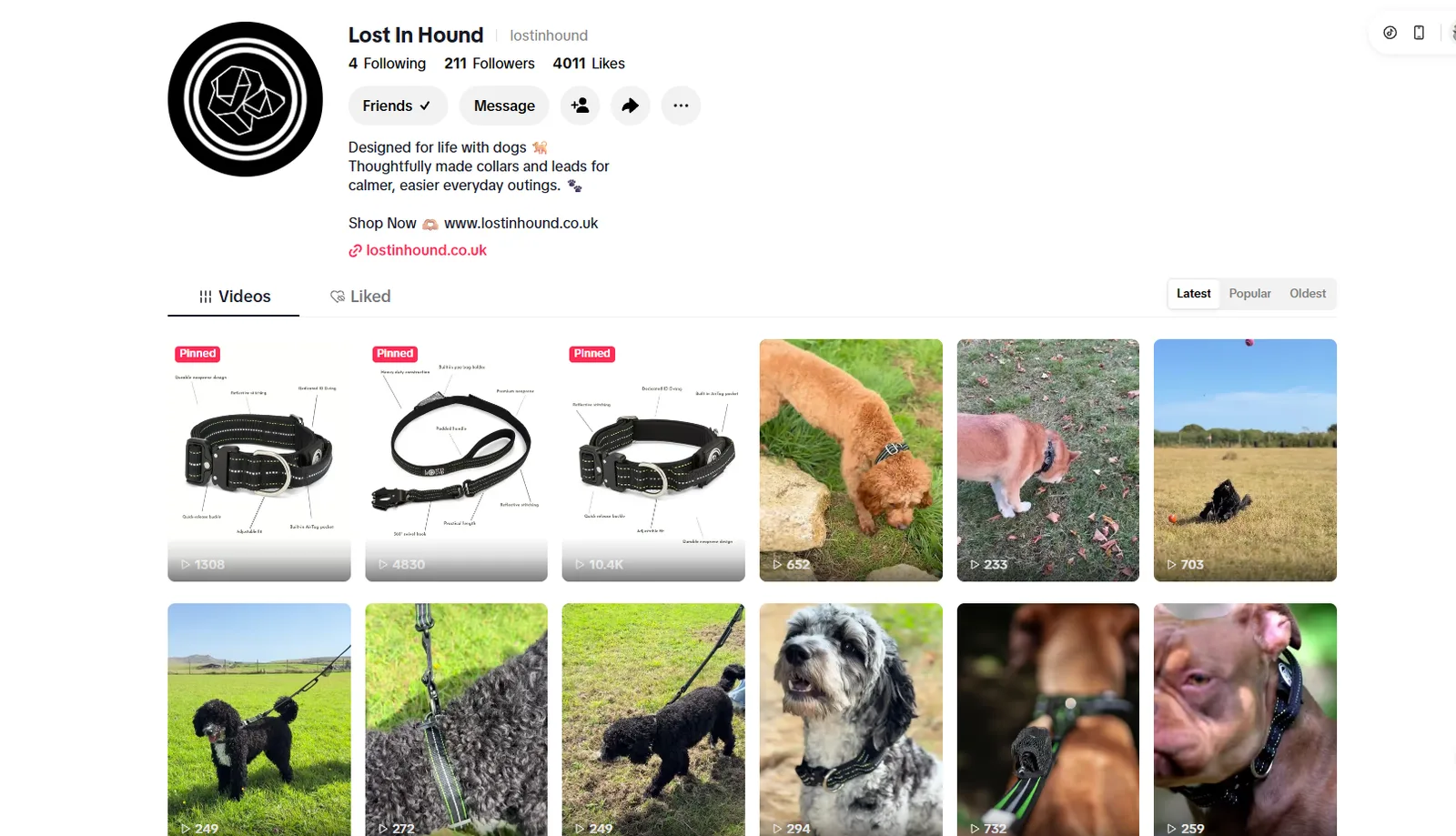 The Lost In Hound TikTok profile and videos