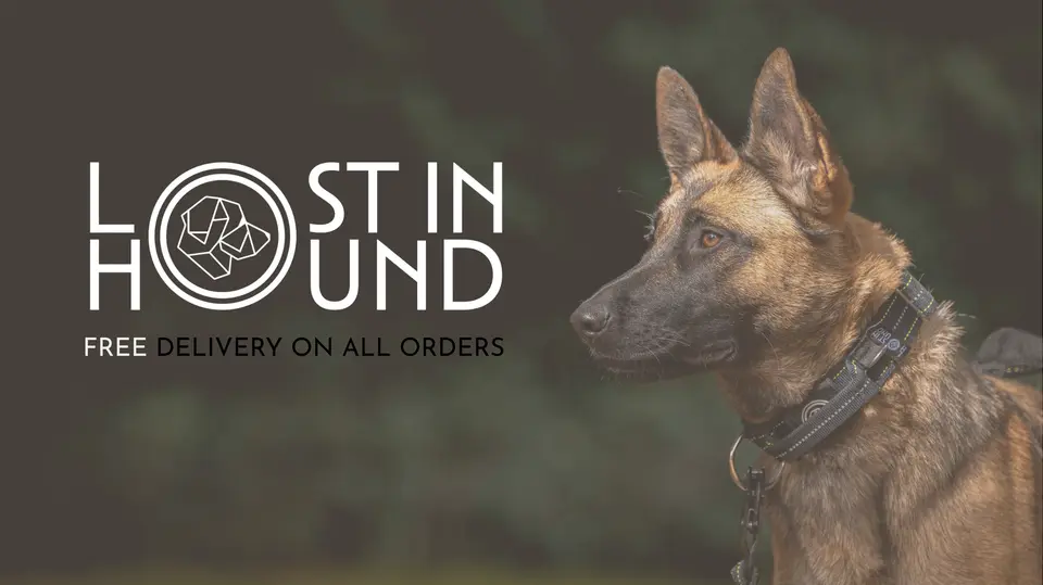 Lost in Hound work by MM Digital