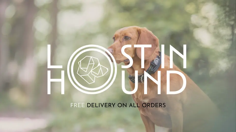 Lost in Hound work by MM Digital