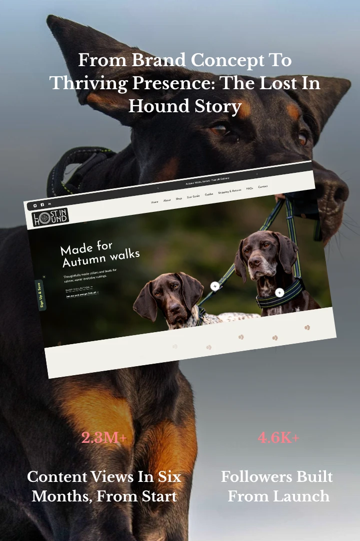 From brand concept to thriving presence, the Lost In Hound story: 2.3M+ content views in six months and 4.6K+ followers built from launch
