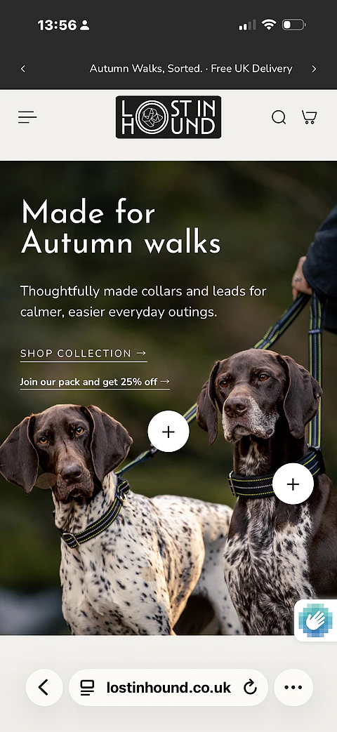 The Lost in Hound website on a phone