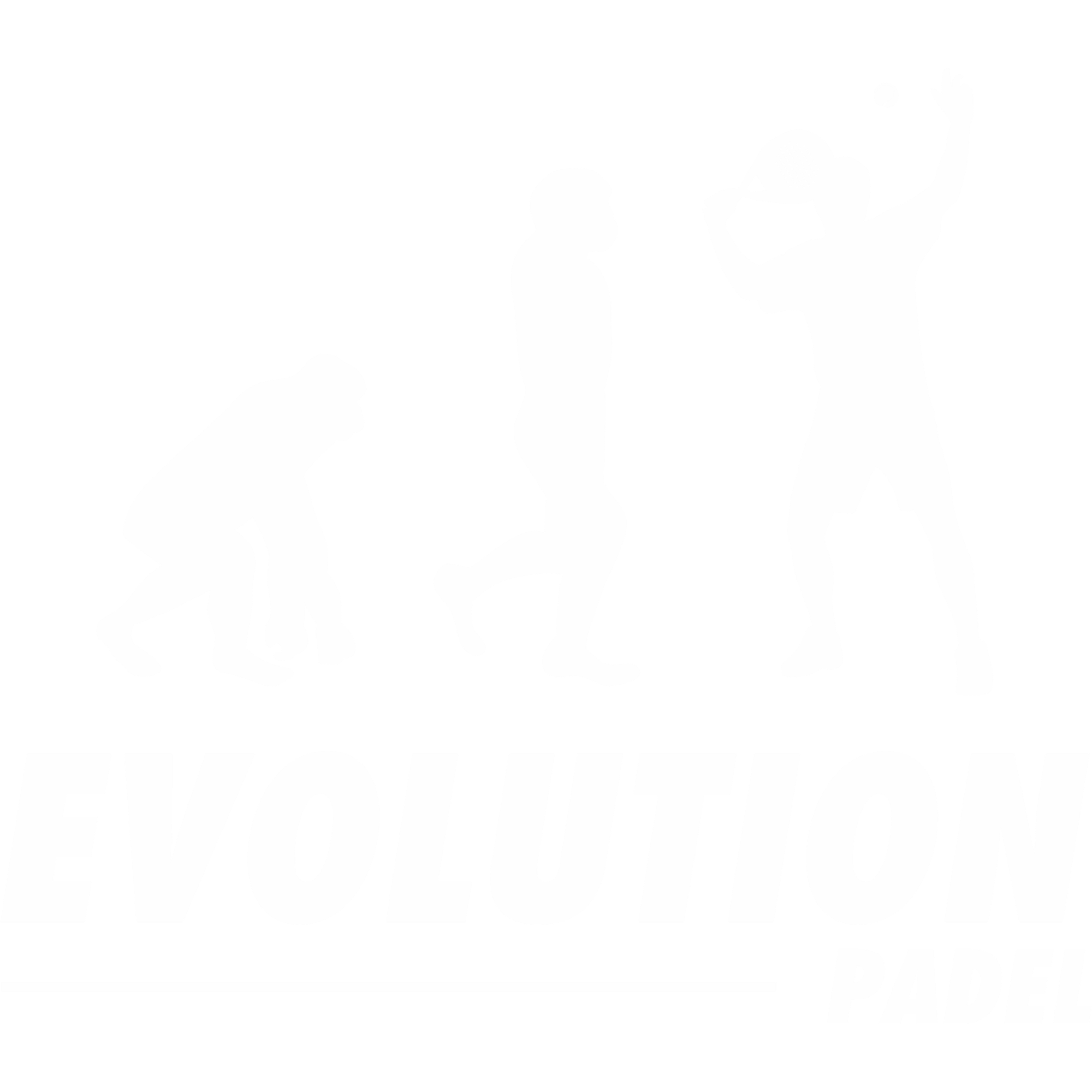 Evolution Padel